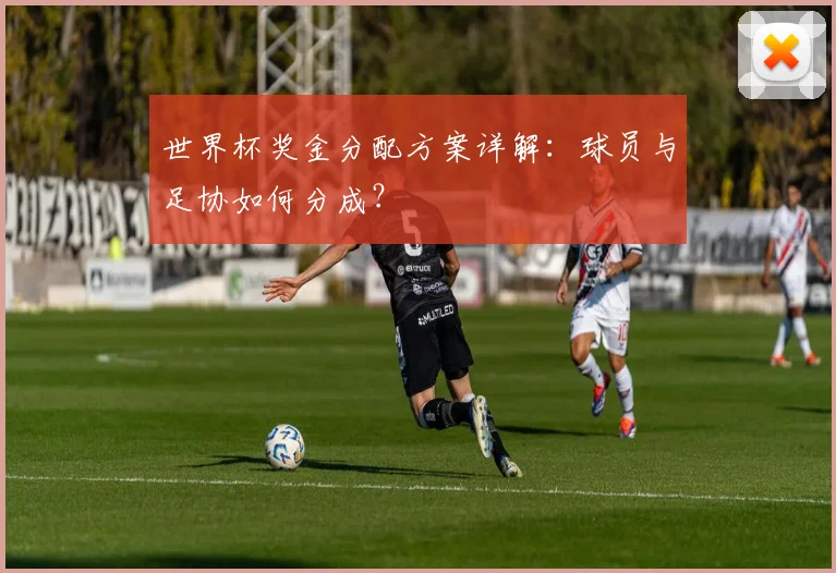 世界杯奖金分配方案详解：球员与足协如何分成？