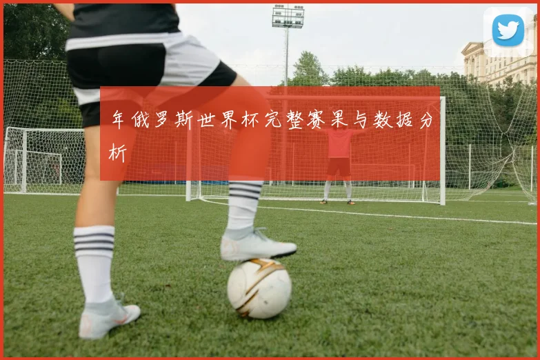 年俄罗斯世界杯完整赛果与数据分析