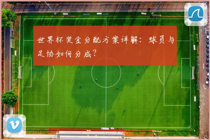 世界杯奖金分配方案详解：球员与足协如何分成？